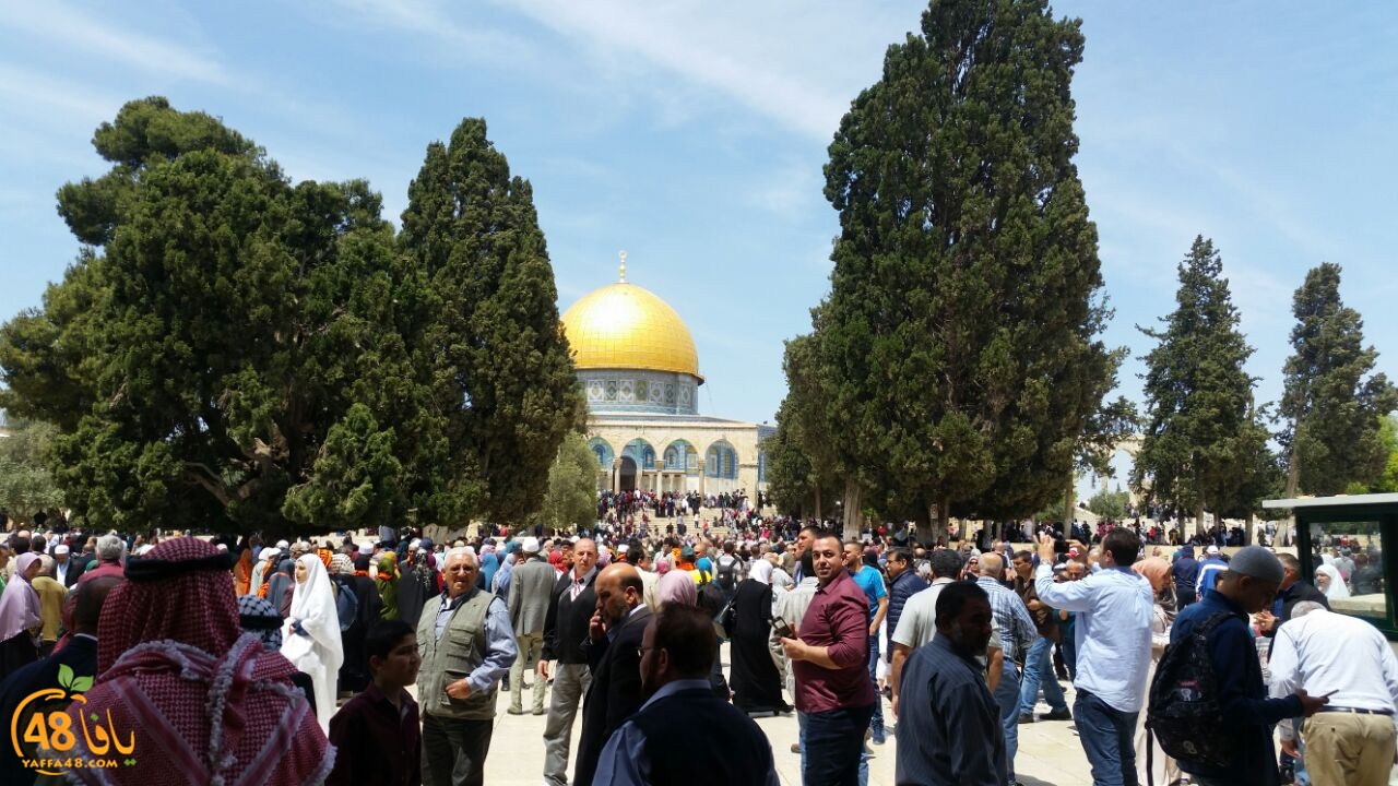 a7bab al aqsaa (1).jpg